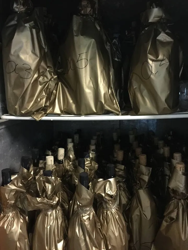 The Malagousia Mystery