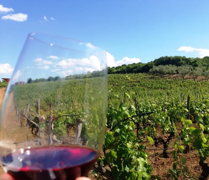 Xinomavro: The Prima Donna of Greek grapes