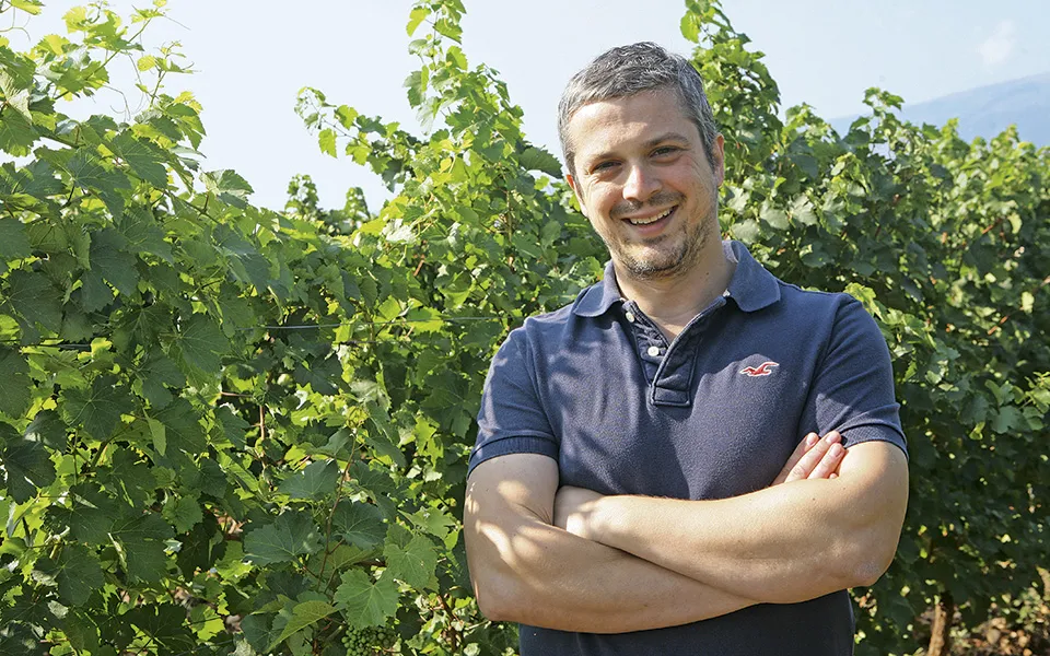 Greek Varieties on the Rise: food for thought