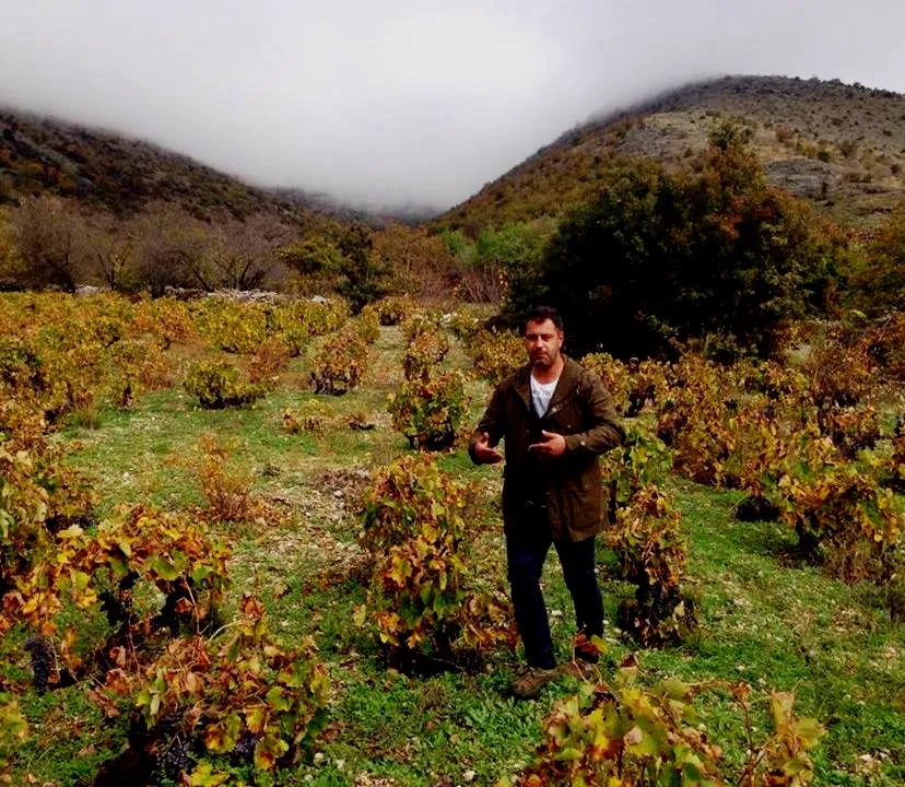 Greek unsung terroirs: Siatista and Diamantis Estate