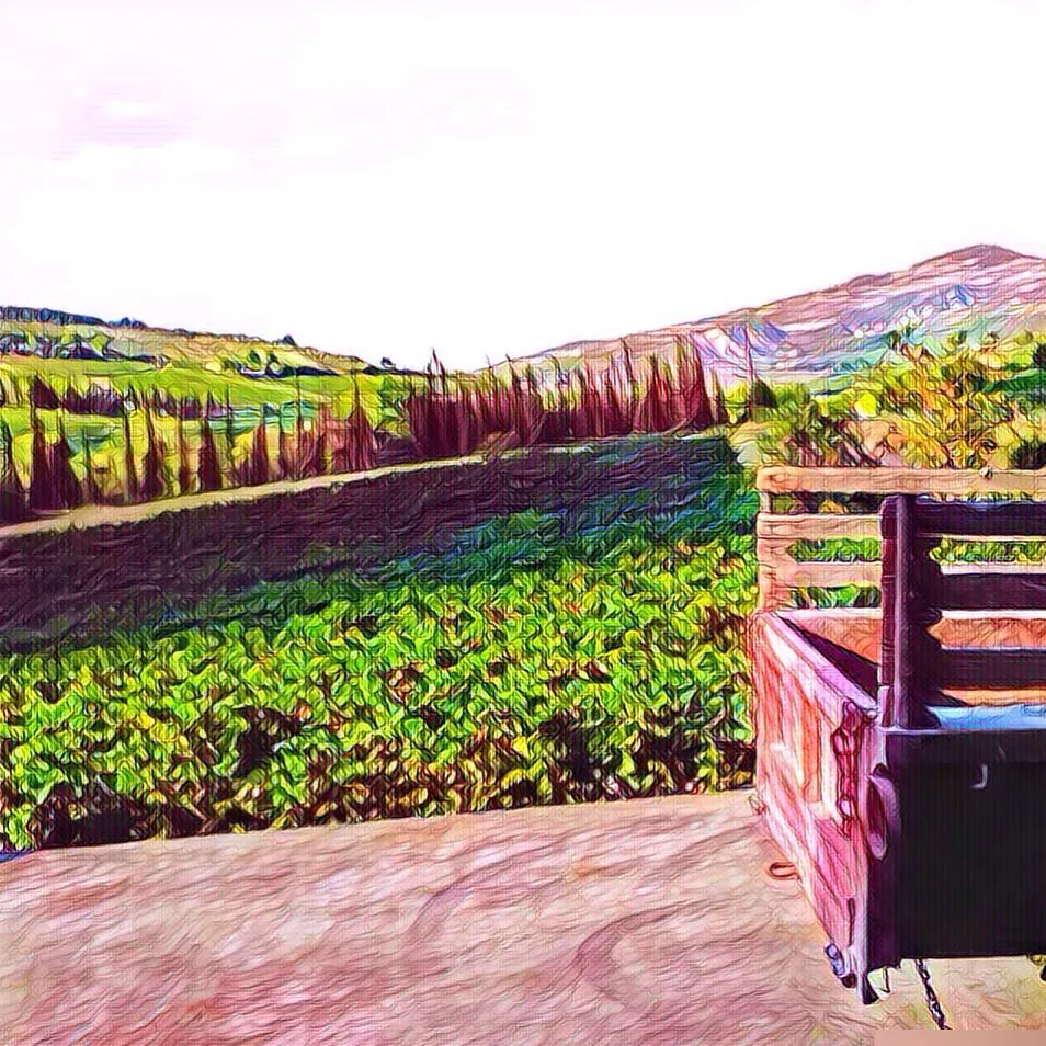 The Vineyards and Wines of Greece, an introduction