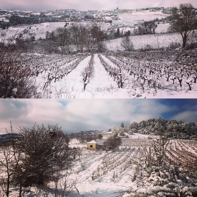 Asprokabos, the other Nemea