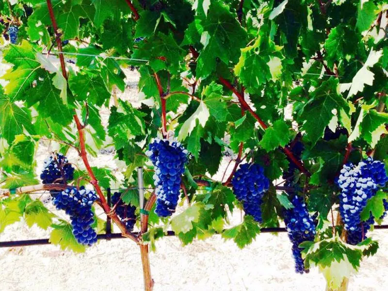 The new Crete: Key points from my seminar in Chania