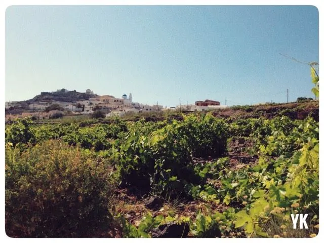 Acroterra: Η νέα προσπάθεια Θυμιόπουλου και Χρυσού στη Σαντορίνη