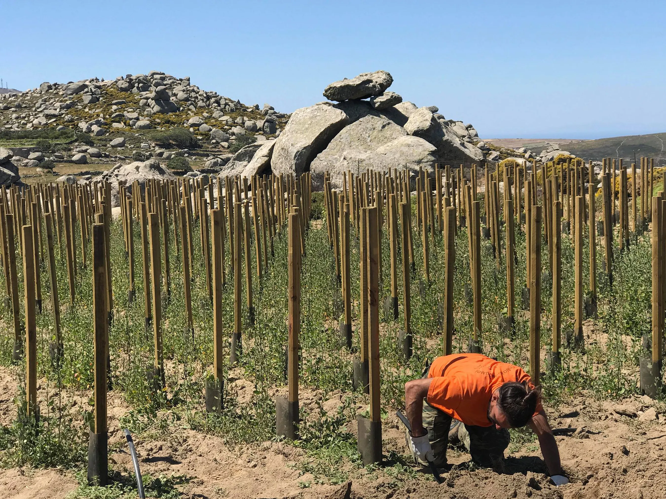 Ode to terroir: Tinos revealed