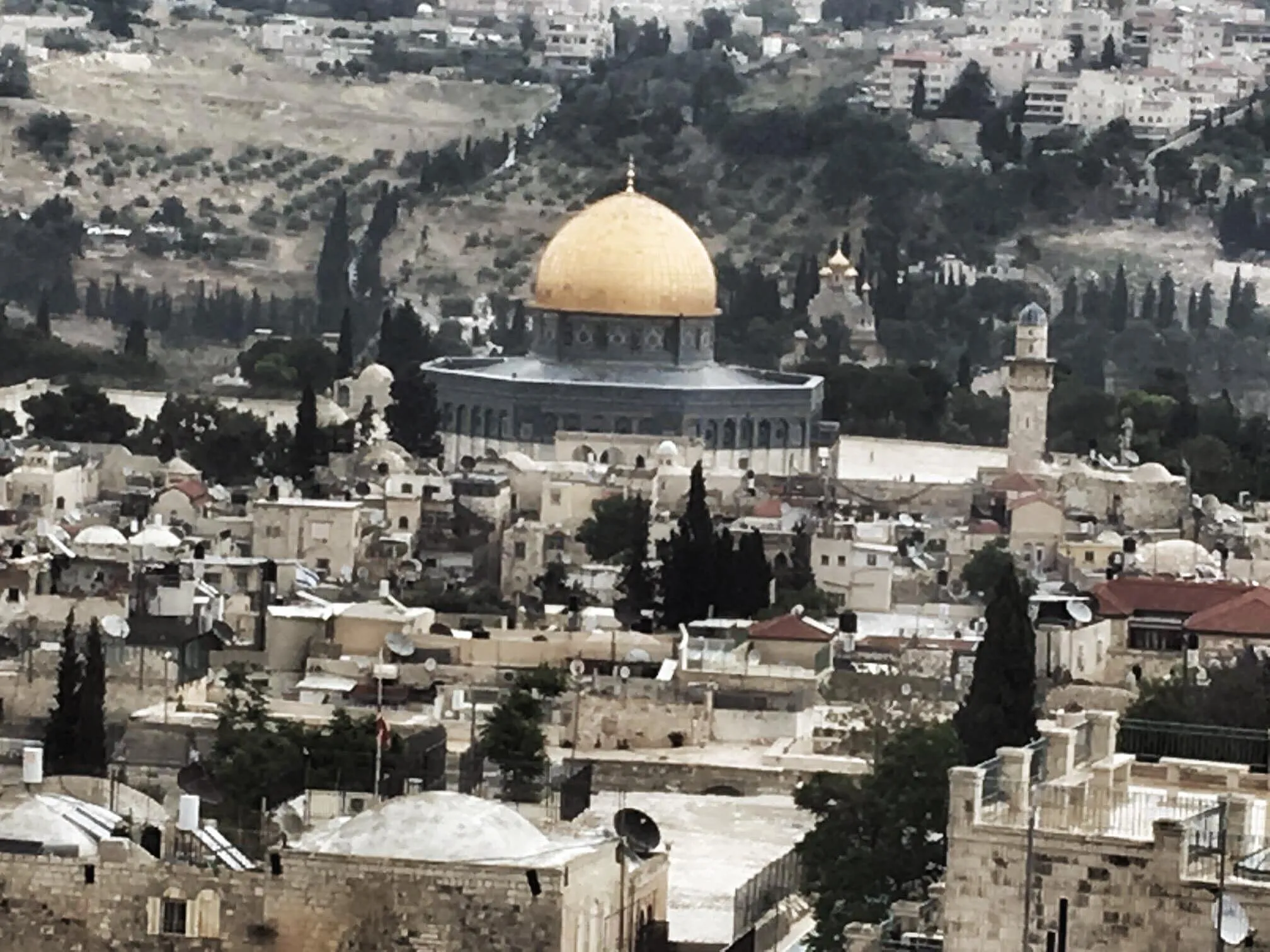 Demetri explores the vineyards of Israel by Demetri Walters MW