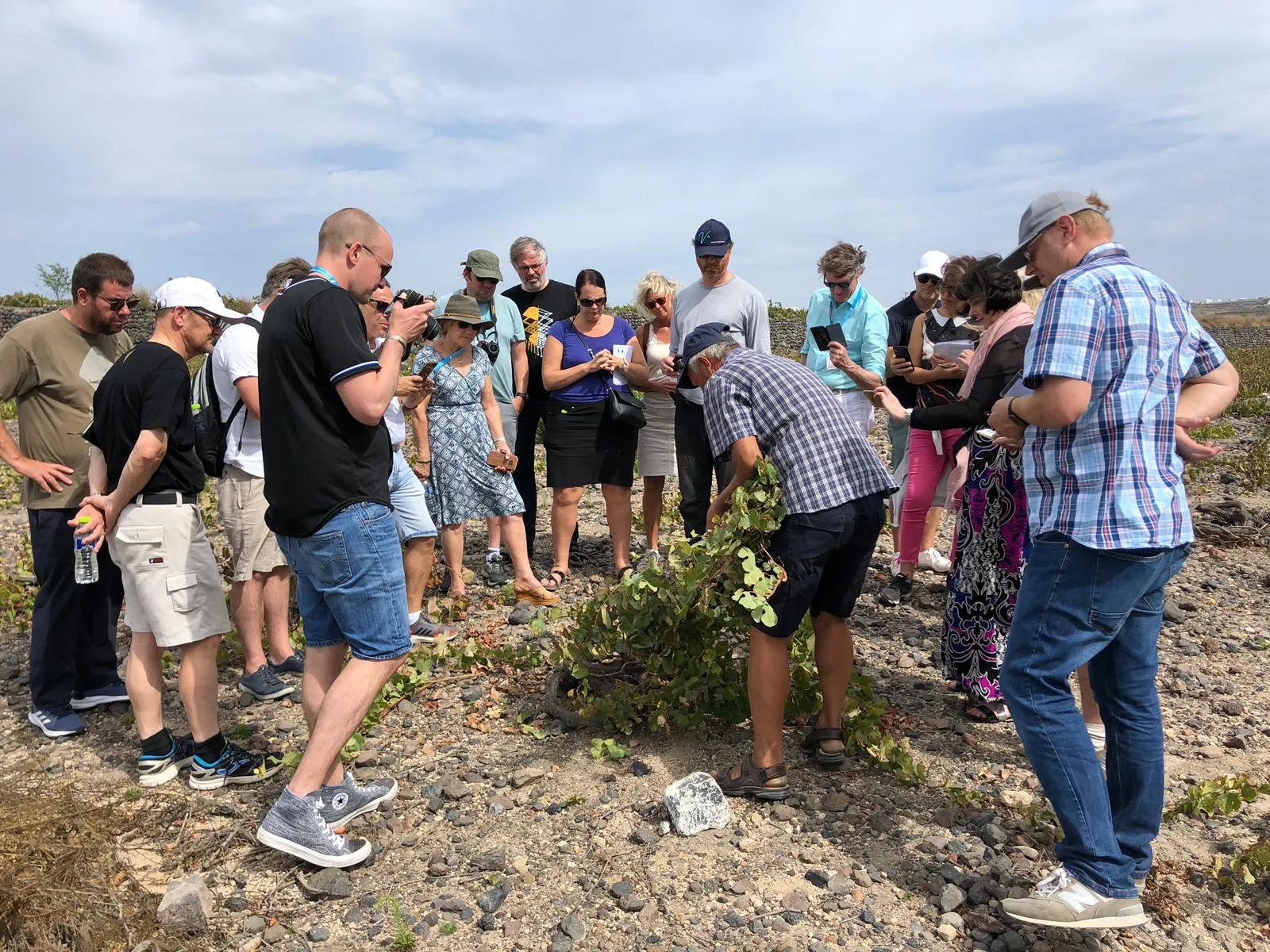 The Masters of Wine in Greece – Part 1 First Impressions