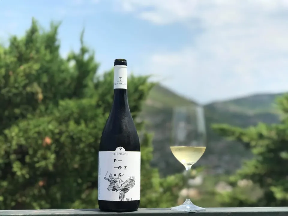 SuperNormal: Tsikrikonis Rozaki 2019