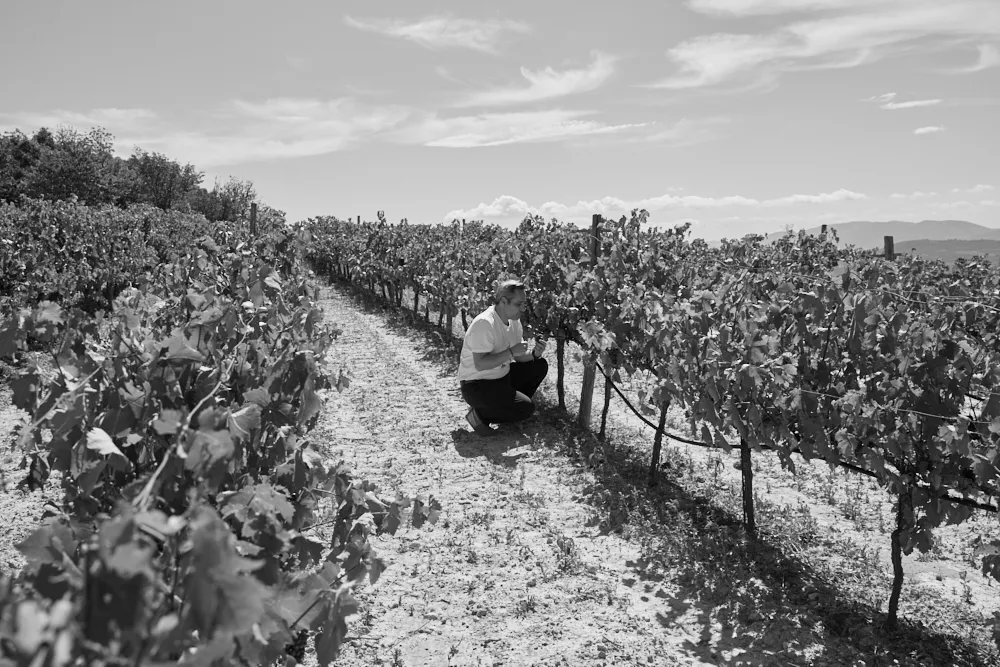 Οι διεθνείς ποικιλίες δεν έχουν πει την τελευταία τους λέξη