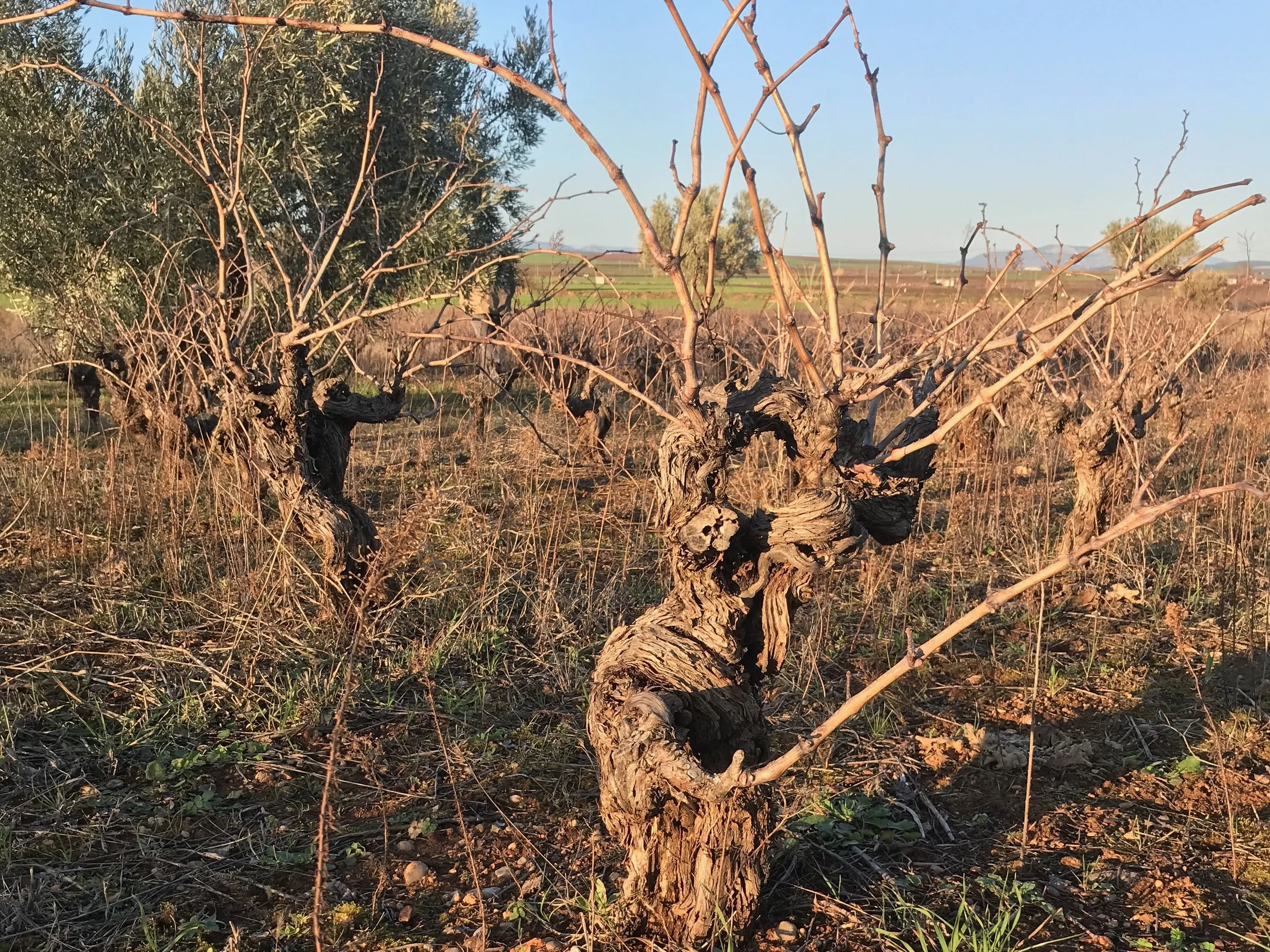 Discovering Boeotia Part 2