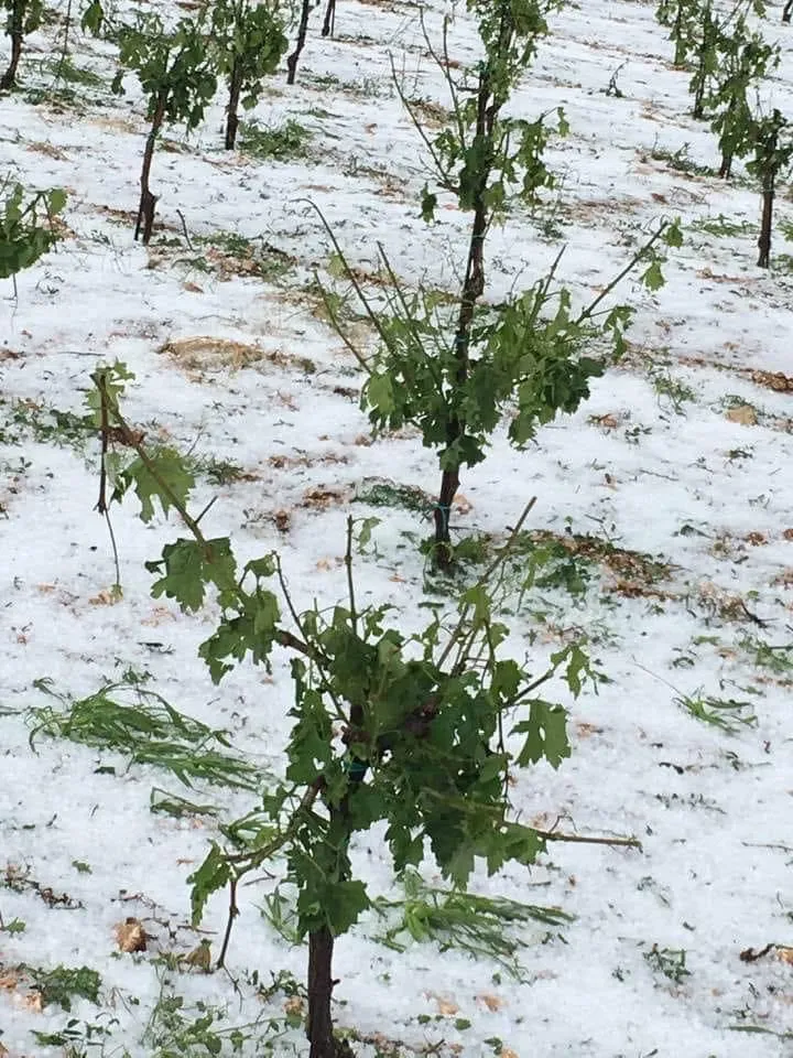 Cephalonia is hit by heavy hailstorm 