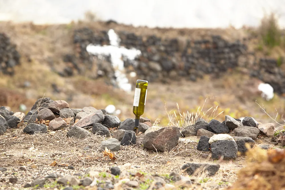 Santorini harvest 2021: Into the danger zone