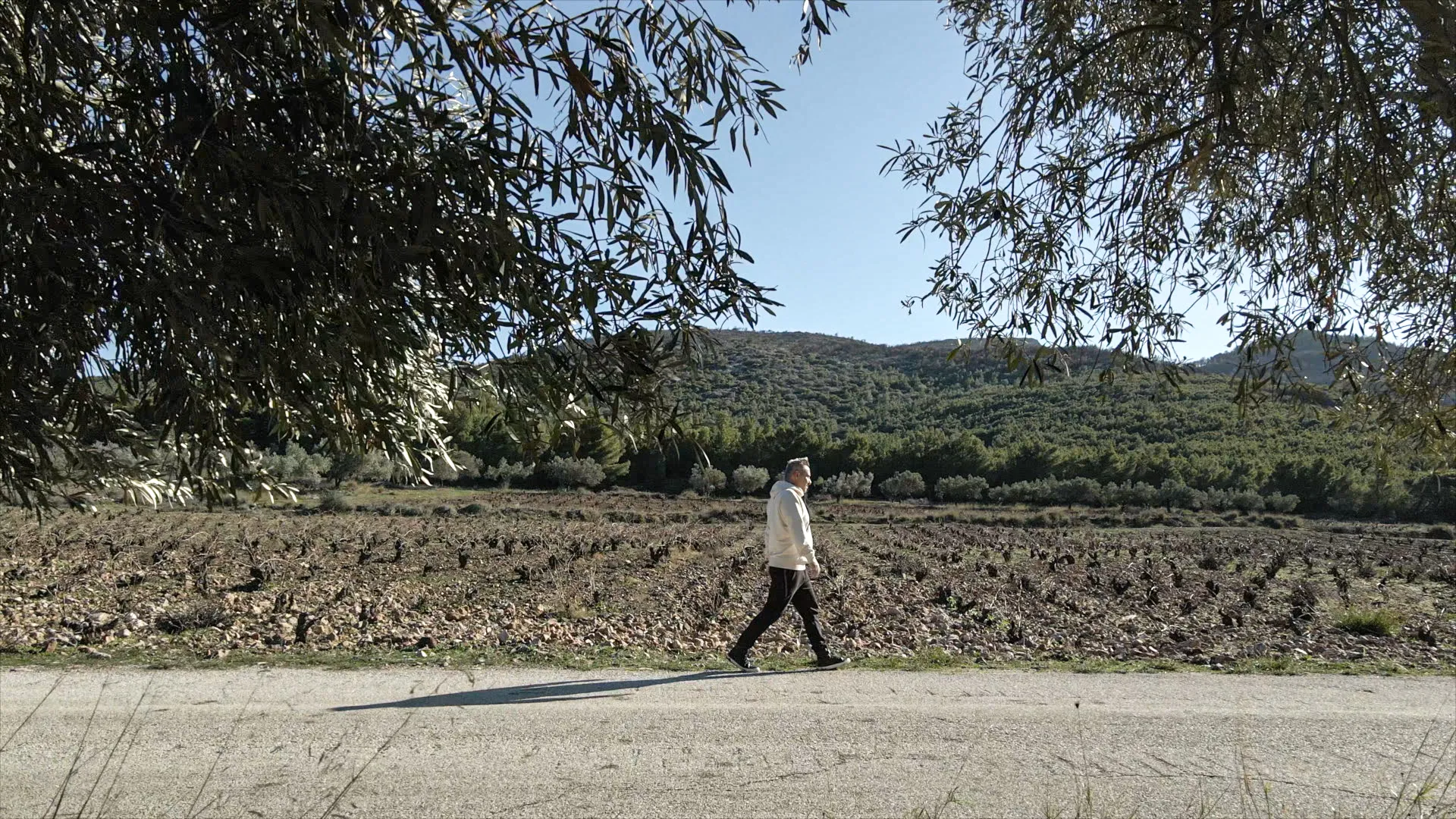 Savatiano of the future