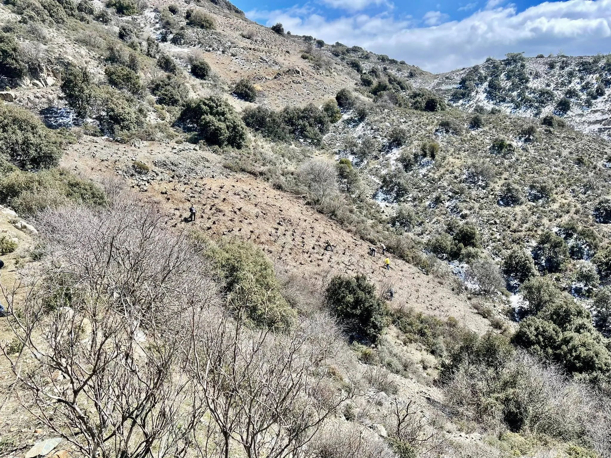 Φαρμακάς, ένα διαπλανητικό τερουάρ στην Κύπρο