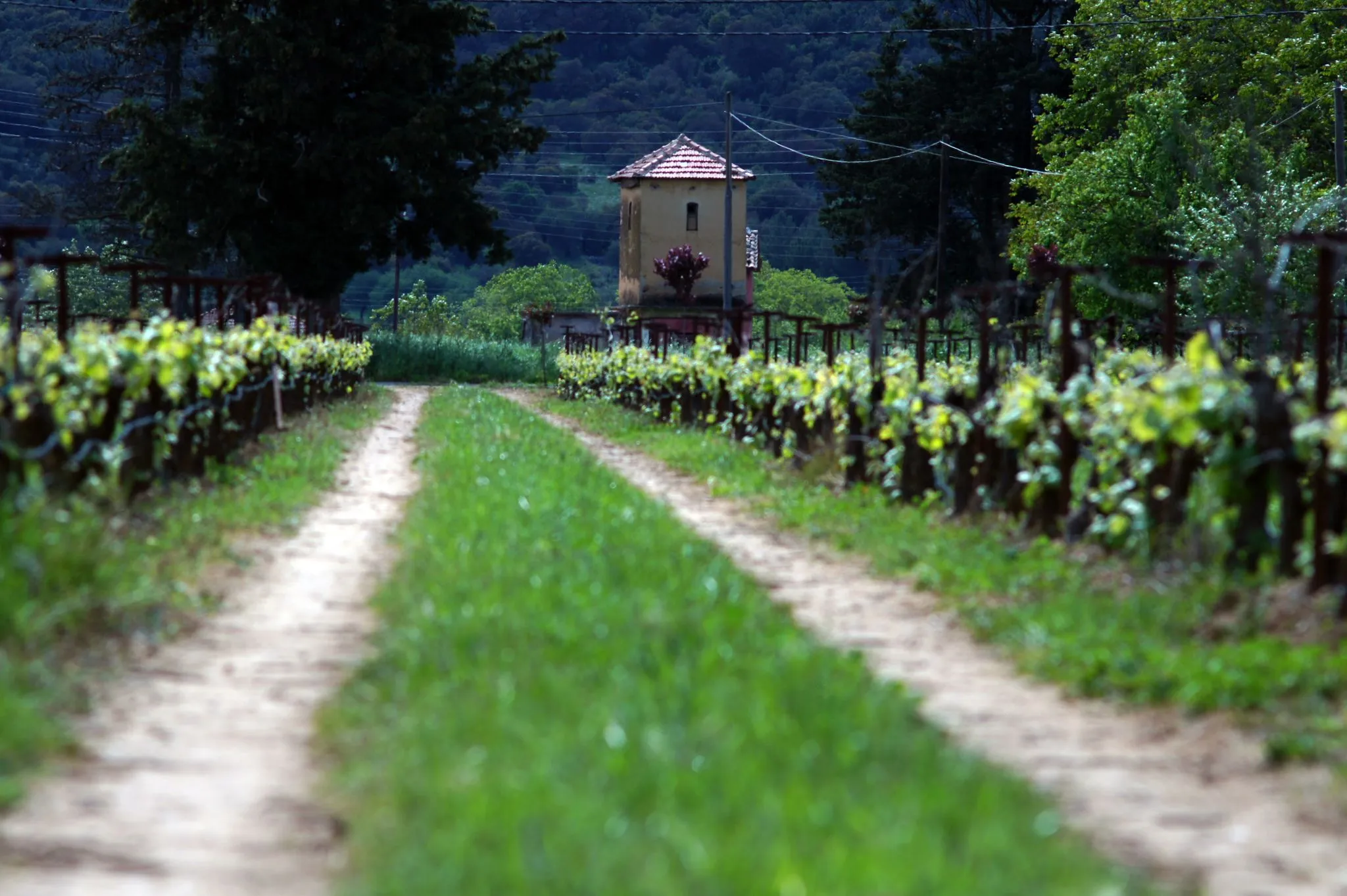 Discovering Mantineia Part 1