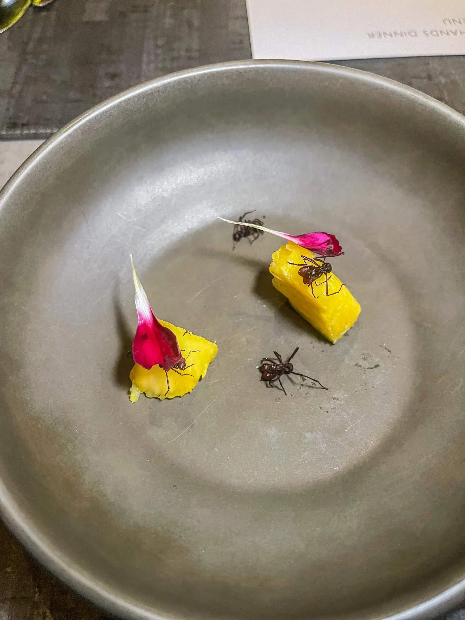 Aλέξ Ατάλα, μυρμήγκια και wine parings