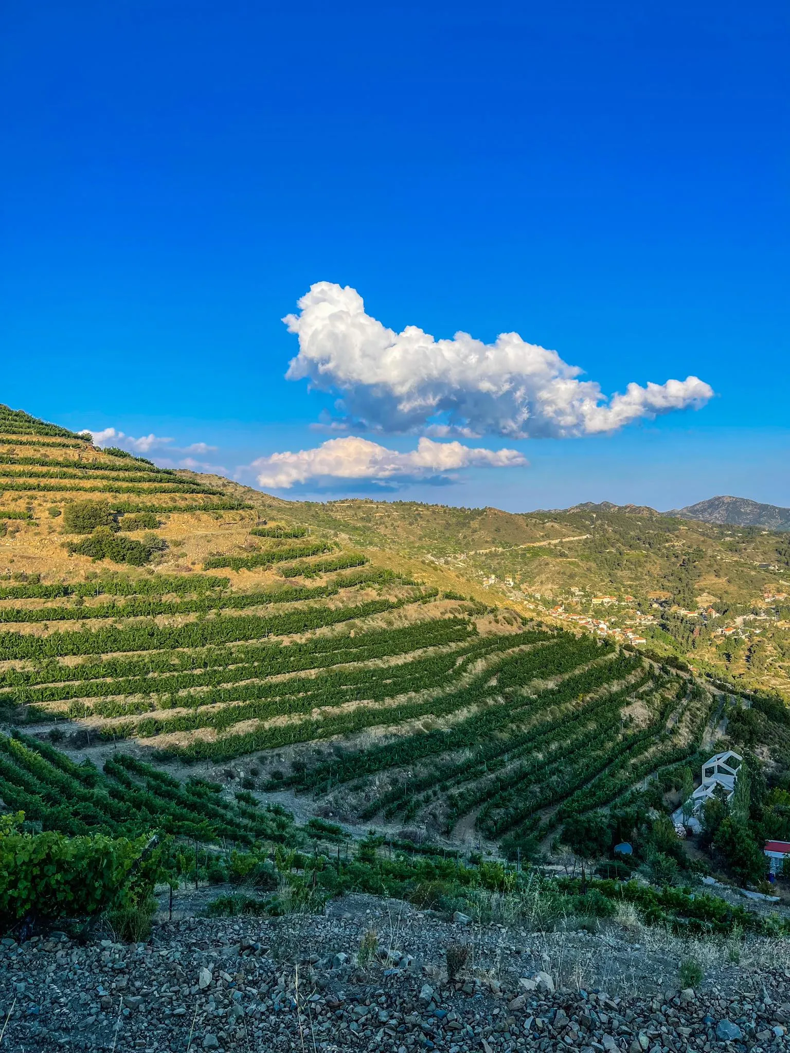 Οι παγίδες για τα κρασιά terroir