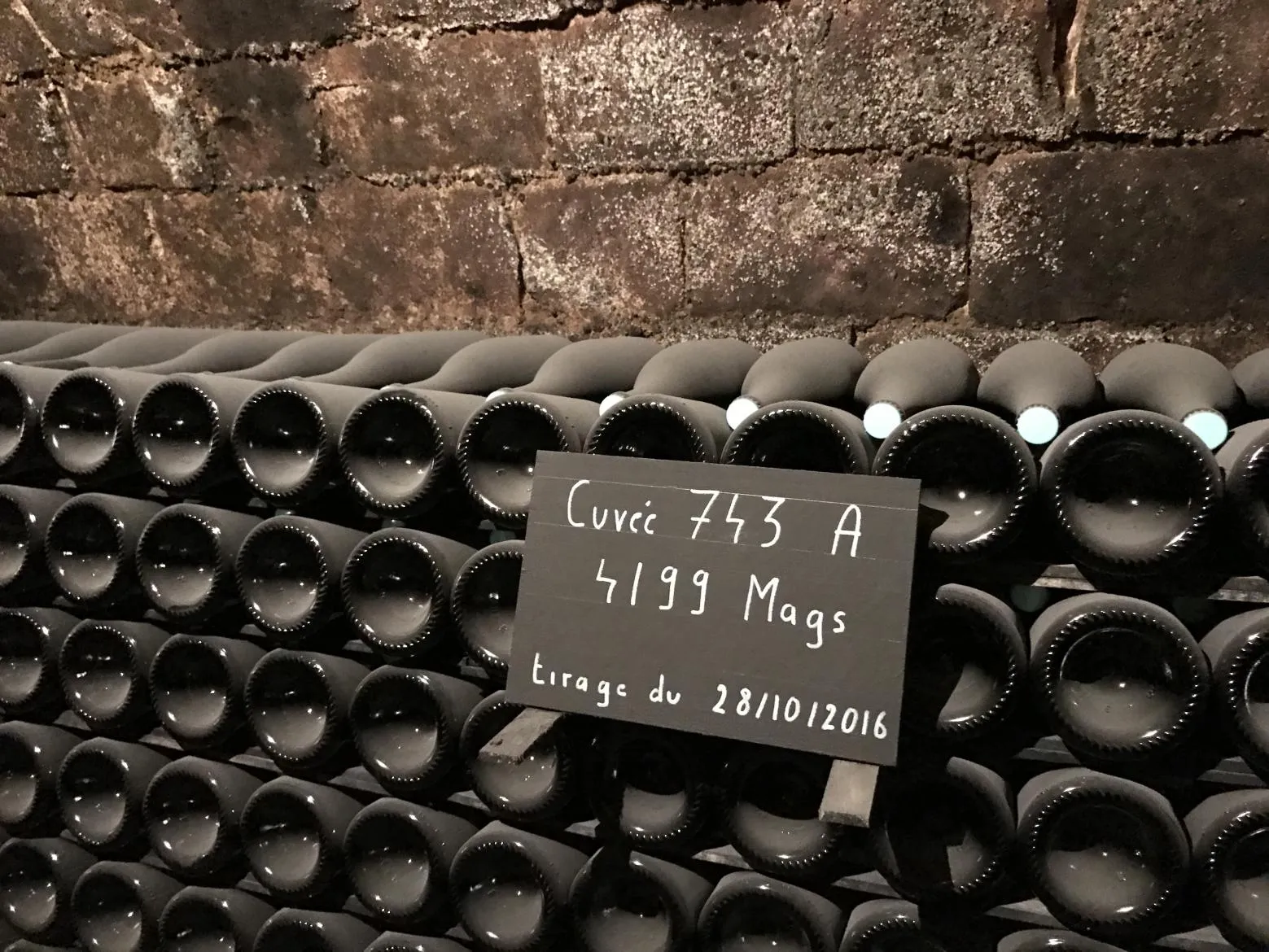 Αναλύοντας το Master of Wine Exam