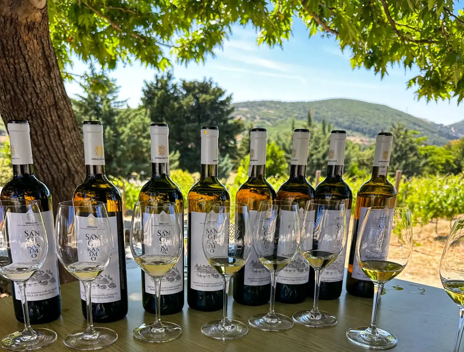 Wine of the Week: Orealios Gaea, San Gerasimo Robola 2025